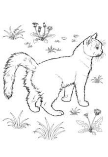 Çimenlerin arasında dolaşan kedi boyama sayfası