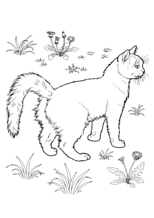 Çimenlerin arasında dolaşan kedi boyama sayfası