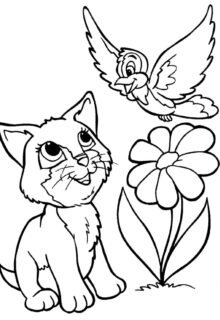 kedi ve kuş boyama sayfası pdf indir yazdır