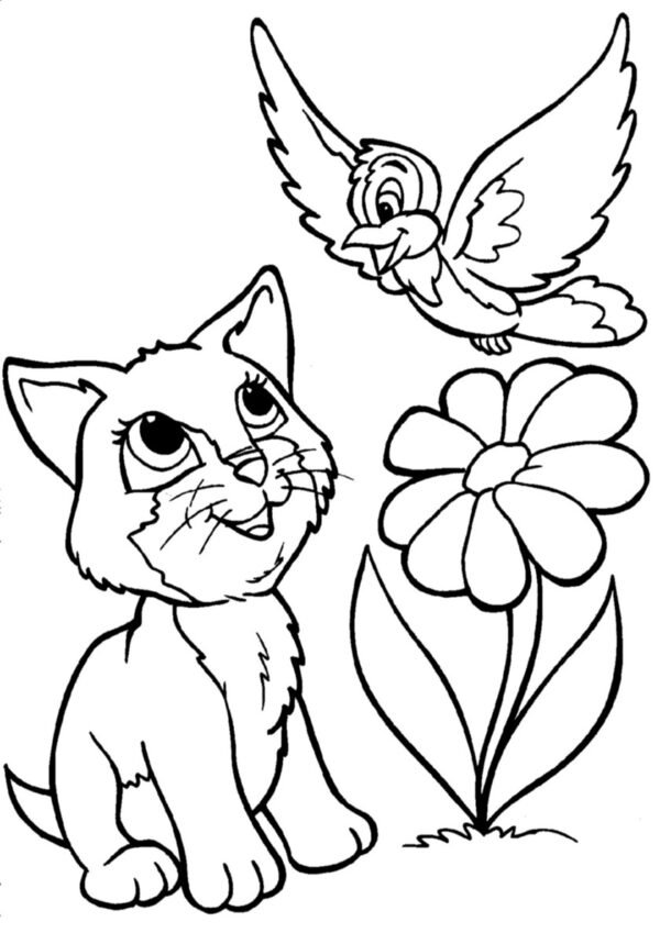 kedi ve kuş boyama sayfası pdf indir yazdır