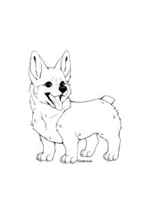 corgi köpek boyama resmi pdf indir yazdır