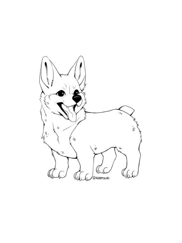 corgi köpek boyama resmi pdf indir yazdır