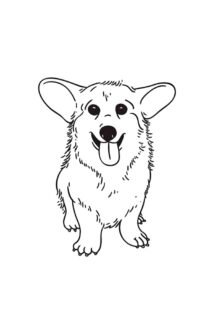 neşeli corgi köpek çizimi pdf indir