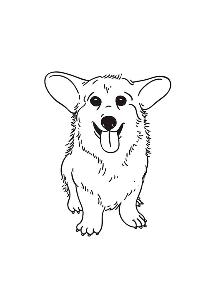 neşeli corgi köpek çizimi pdf indir