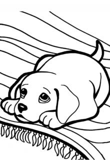 halının üzerinde yatan köpek yavrusu boyama resmi pdf indir yazdır