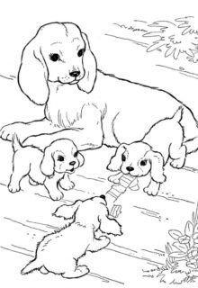 anne köpek ve yavru köpekler boyama resmi indir yazdır