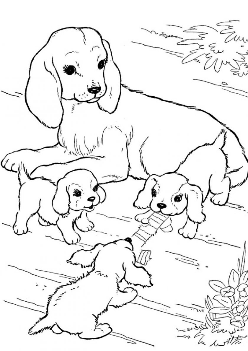 anne köpek ve yavru köpekler boyama resmi indir yazdır
