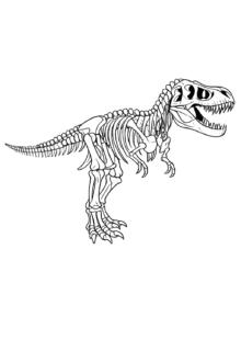 T-Rex dinozor iskeleti boyama sayfası
