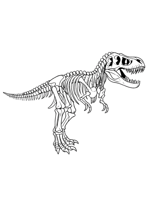 T-Rex dinozor iskeleti boyama sayfası